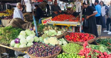 شعبة الخضروات: تراجع أسعار الطماطم 5 جنيهات لتترواح بين 12.5 إلى 15 جنيها