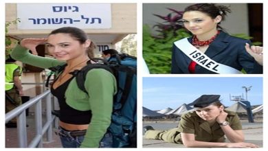 "خدمت في الجيش الإسرائيلي وتجسد شخصية كليوباترا في فيلم سينمائي".. معلومات عن الممثلة جال جادوت