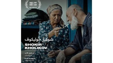 مهرجان البحر الأحمر السينمائي.. جائزة أفضل مخرج تذهب لـ شوكير خوليكوف عن "الأحد"