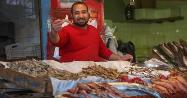 أسعار الأسماك اليوم فى مصر والبلطى بـ58 جنيها للكيلو