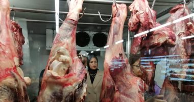 أسعار اللحوم فى الأسواق اليوم الاثنين 28 أغسطس 2023