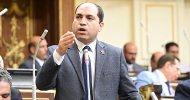 عمرو درويش: الرئيس السيسي حريص على تقوية الجبهة الداخلية بالتفاعل مع مخرجات الحوار الوطنى