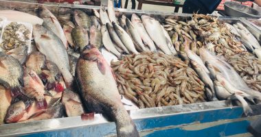 ننشر أسعار الأسماك في الأسواق اليوم الأربعاء 23 أغسطس 2023