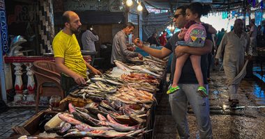 أسعار السمك البلطى فى الأسواق تسجل 75 جنيها للكيلو