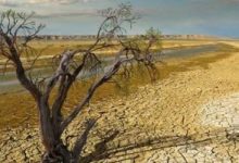 كيف تؤثر صدمات جفاف الأمطار على معدلات الفقر؟.. اعرف التفاصيل
