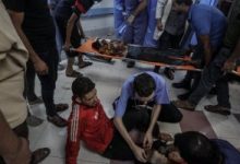 النائب خالد أبو الوفا: قصف إسرائيل لمستشفى المعمدانى "جريمة حرب"