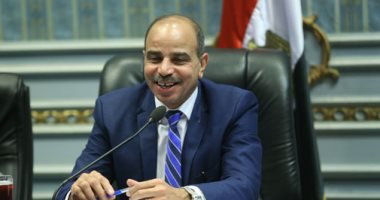 النائب هشام الشعينى: بيان البرلمان الأوروبى تضمن افتراءات وادعاءات غير صحيحة