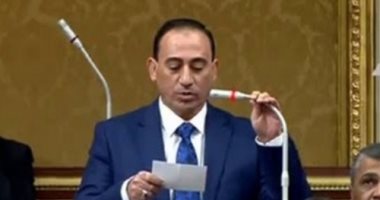 برلمانى: مصر حركت المجتمع الدولى إزاء القضية الفلسطنية بعدما كان متفرجا وحشية إسرائيل