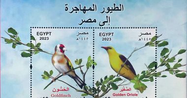 هيئة البريد تصدر بطاقة تذكارية ترصد فيها ظاهرة "الطيور المهاجرة"