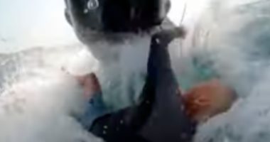 حوت يصدم رجلاً أستراليًا أثناء تزلجه على الأمواج ويسحبه تحت المياه.. فيديو