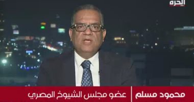 محمود مسلم: الجهود المصرية لدعم القضية الفلسطينية تسير فى 3 محاور