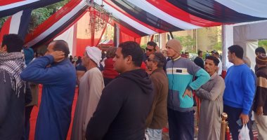 بمشاركة تاريخية.. المصريون يروون "حكاية شعب" من 30 يونيو إلى انتخابات رئاسية 2024